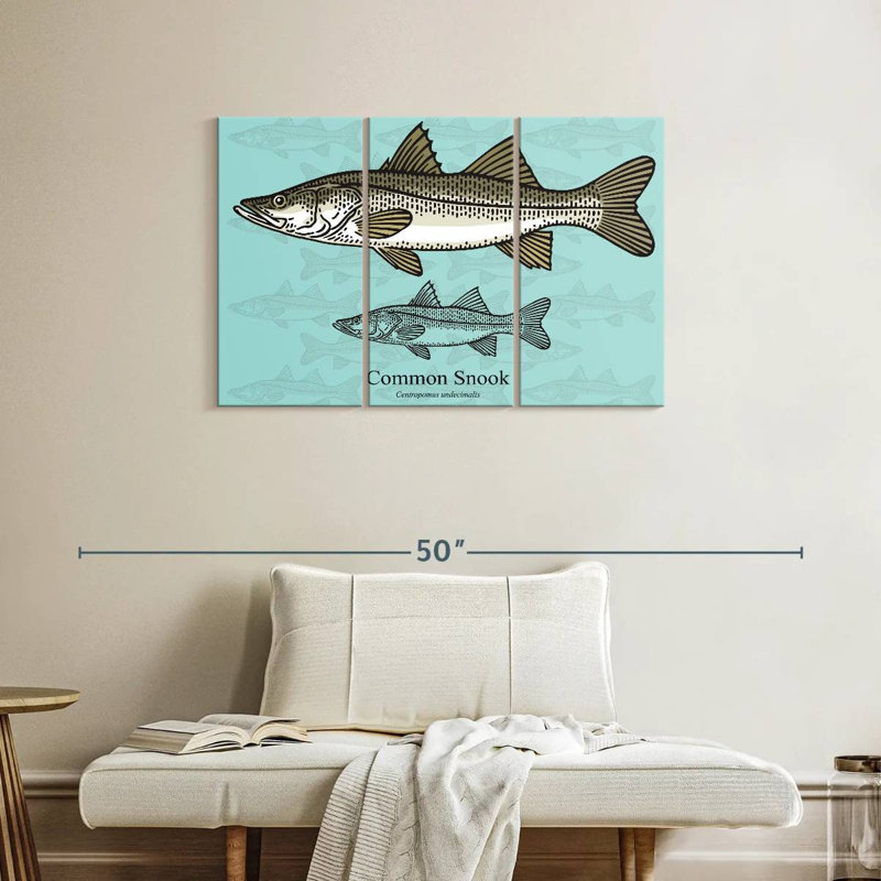 Brampt Common Snook, 24" H x 38" W