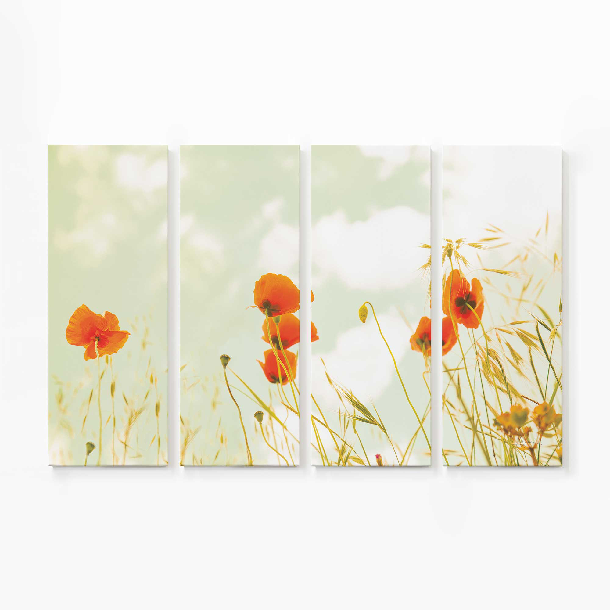 Frametolia Gentle Poppy Breeze | 4 Panel Split Large Canvas Print | Wayfair