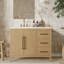 Alsup 42'' W Single Vanity-201528135