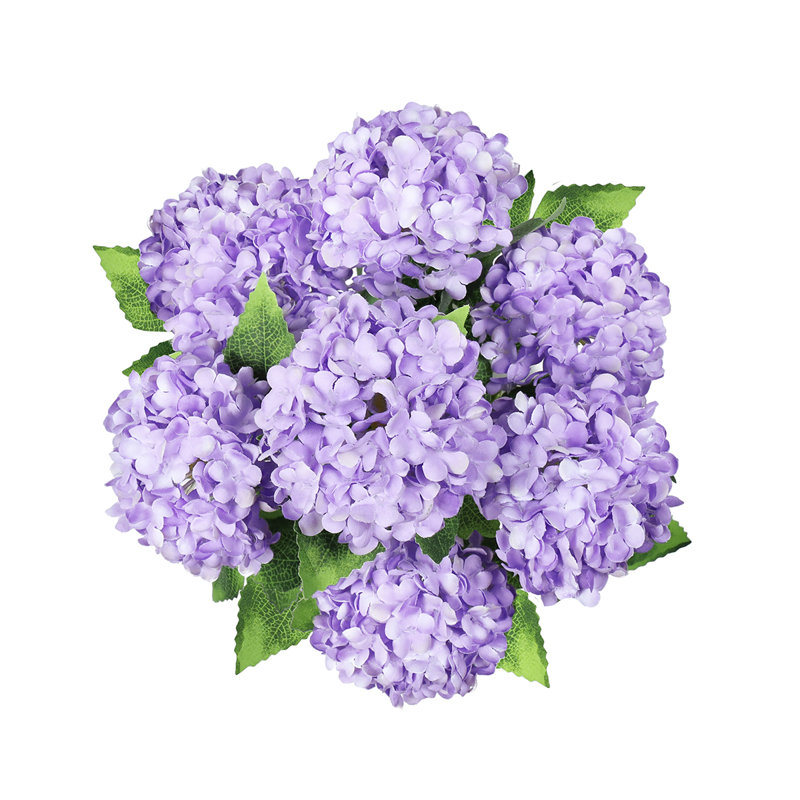 Boule de neige Guelder Rose, Mauve / Vert