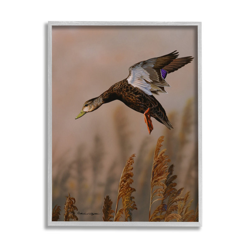 «Duck Flying» par Richard Clifton, H 20 po x l 16 po x P 1,5 po, Giclée encadrée noir minuit