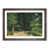 Walnut Framed