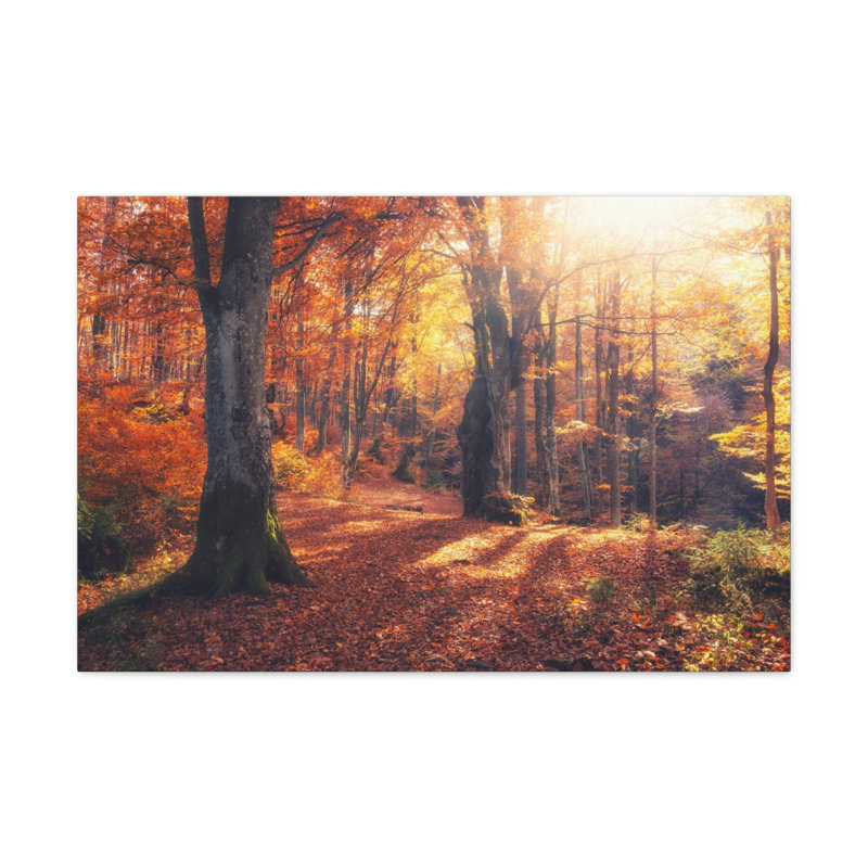 No Frame Print on Canvas, 18cm H x 24cm W