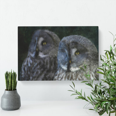 Great Grey Owls - Wrapped Canvas Print