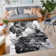 Boisey Abstract Area Rug