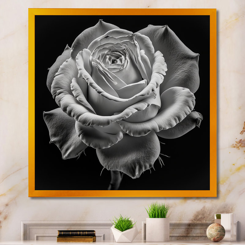 «Blossoming White Rose on Black III», reproduction sur toile, H 36 po x l 36 po x P 1,5 po, Encadrement doré