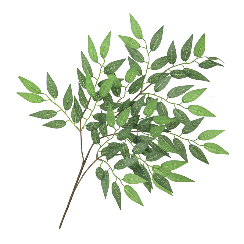 Ruscus artificiel italien Smilax