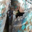 No Frame Painting on Metal