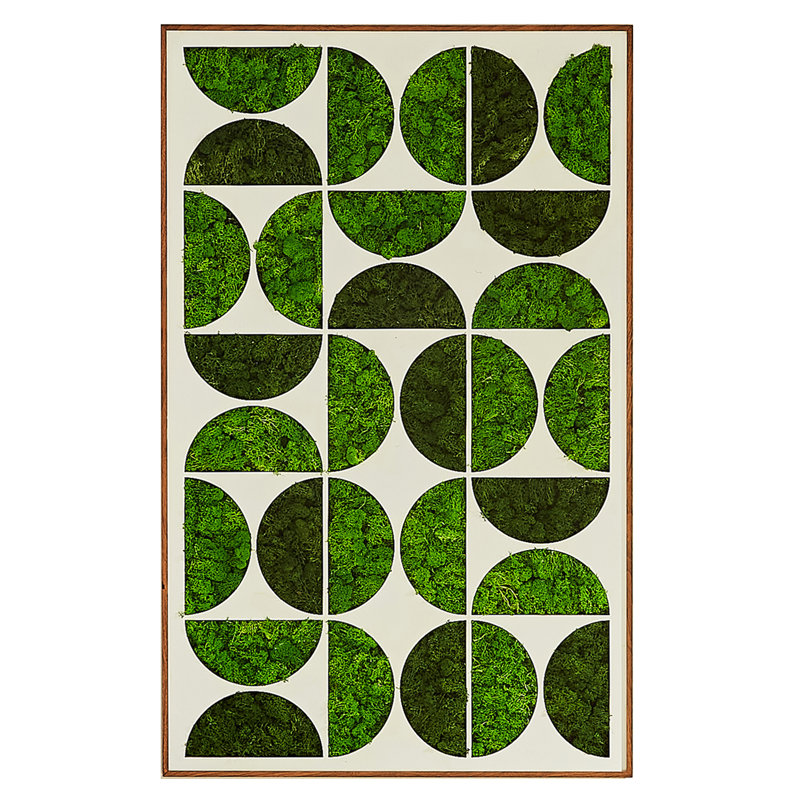 Décoration murale Moony Moss, H 1,58 po x l 30 po x P 48 po