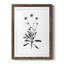 Inky Botanical I - peinture encadrée-874166825-874166827