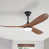 Dark Brown Wood Blade/Black Fan Body selected