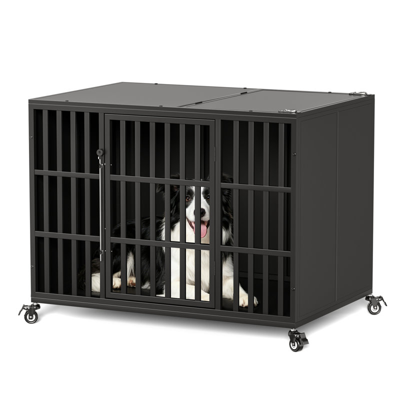 Cage de transport robuste de 42 pouces pour chiens, avec loquet autobloquant et conception fermée, idéale pour les chiens anxieux.