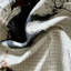 Steeplechaser Russell 100% Cotton Fabric