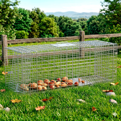 Cage à piège 42 po x 16 po x 18 po en acier argenté pliable pour animaux avec porte simple / double avec gâchette et poignée pour ratons laveurs Petits renards