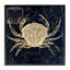 Giclée encadrée de crabe sur une carte, conception de Sasha-213136881-213136883