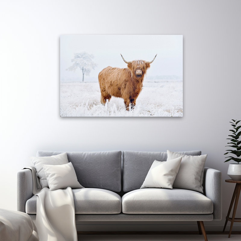 Conway - Photographie, animaux, faune, vaches, art, H 32 po x l 48 po