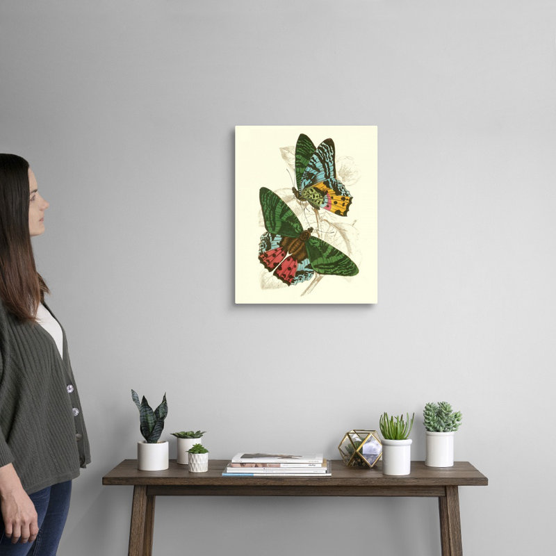 «Jardine Butterflies III» par Jardine William, reproduction d'art sur toile, H 20 po x l 16 po x P 1 po, Toile tendue