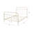 Citron White Finish  Bed