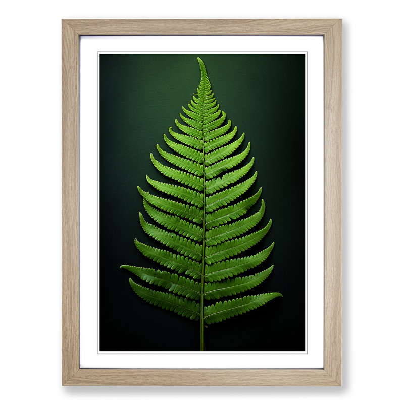 XYZ-FRM-V1223-703 Fern Leaf Tachisme - Single Picture Frame Print on Wood, Oak, 64cm H x 46cm W x 2cm D
