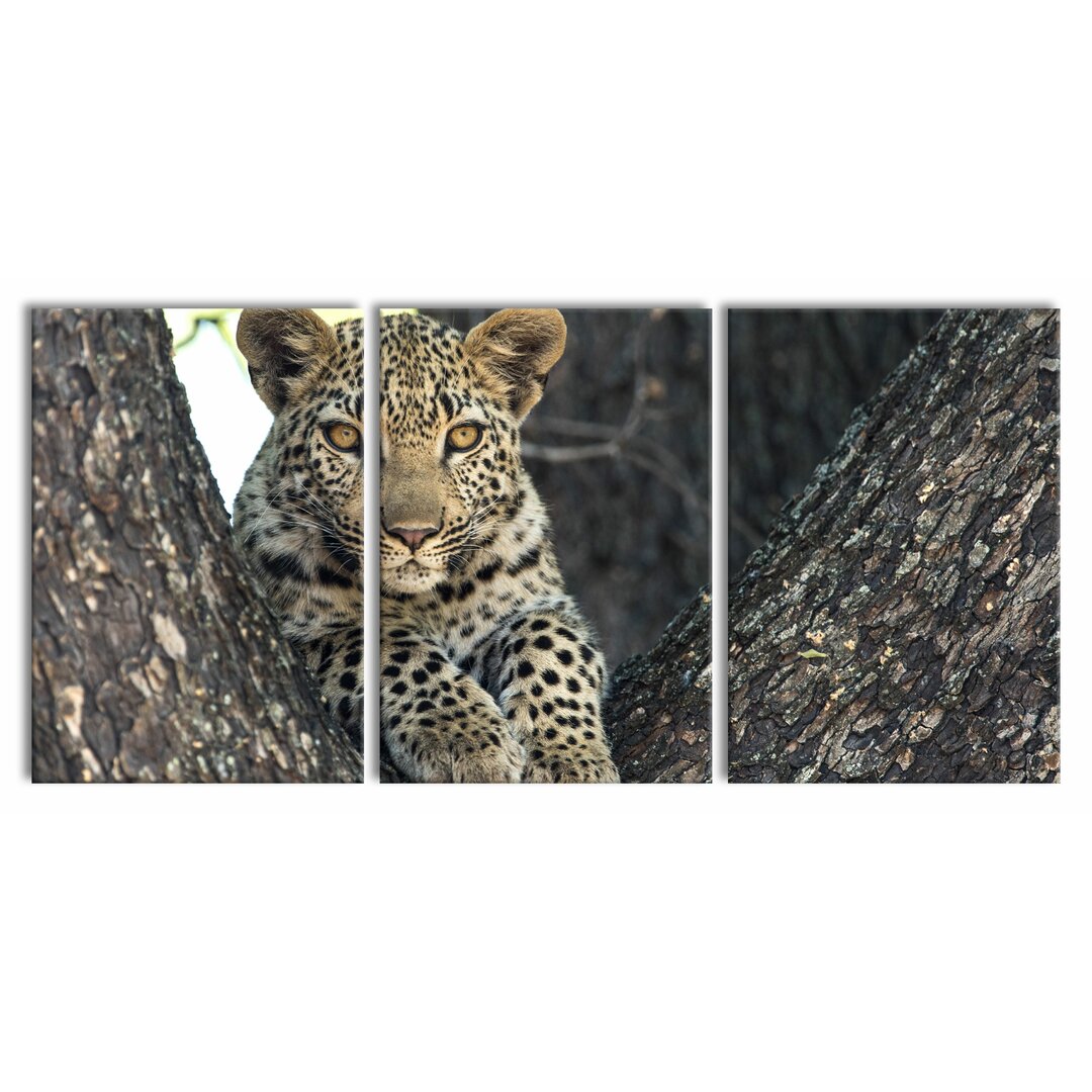 3-tlg. Leinwandbilder-Set Leopard Cub