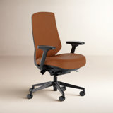 Ergonomic Chair Pro