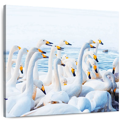 Crowle Japanese Swans