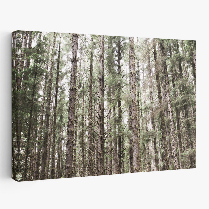 Mossy Pines - Forêts brunes, art de paysages verts, H 40 po x l 60 po