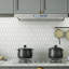 Carrelage mural mosaïque en verre 2 "x 4" Supreme Tile Bianca-58234809