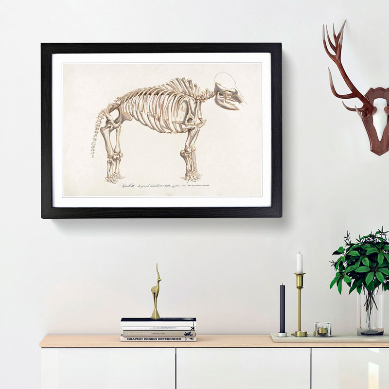 Mammoth Skeleton by Charles d' Orbigny - Picture Frame Graphic Art Print, 36cm H x 48cm W x 2cm D, Black Framed