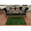 Green Tribal  Accent Oriental Rug 3x5