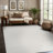 Indoor Outdoor Area Rug-553742467-553742465