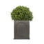 Berenice Handmade Pot Planter-14486353-48478046