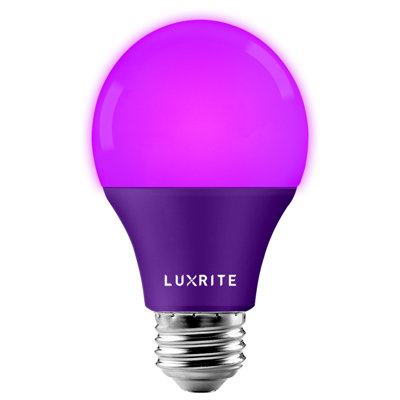 8 Watt (60 Watt Equivalent), A19 LED Light Bulb, E26/Medium (Standard) Base
