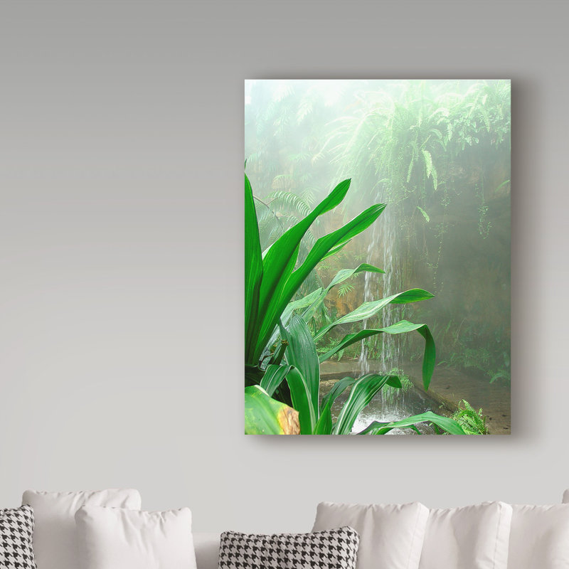 «Rainforest Leaves», reproduction de photo sur toile tendue, H 32 po x l 24 po x P 2 po