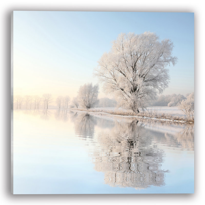 Art mural sur toile Frosted Grove Reflections, H 40 po x l 40 po