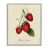 Farmhouse Gray Framed Giclee
