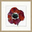 Floral Studies 2 Print