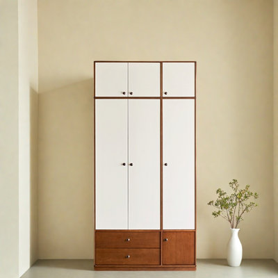 Simple  And Colour Blocked Wardrobe