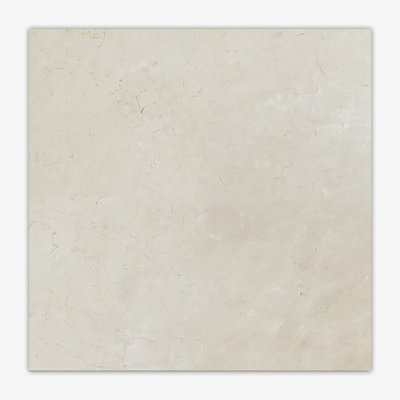 24 in. x 24 in. Marble Tile