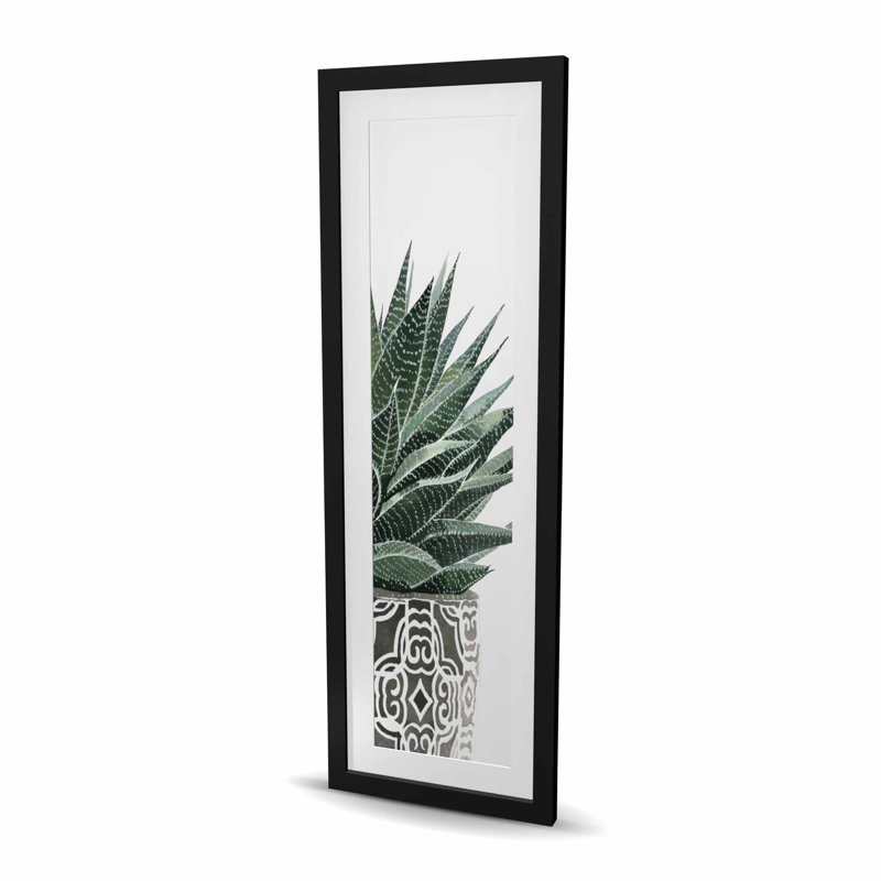 Reproduction de plante zébrée - Bohème vert