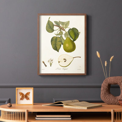 Vintage Pears VI Framed Print - Solid Wood