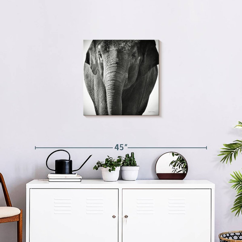 Brampt Elephant BW III, 20" H x 20" W