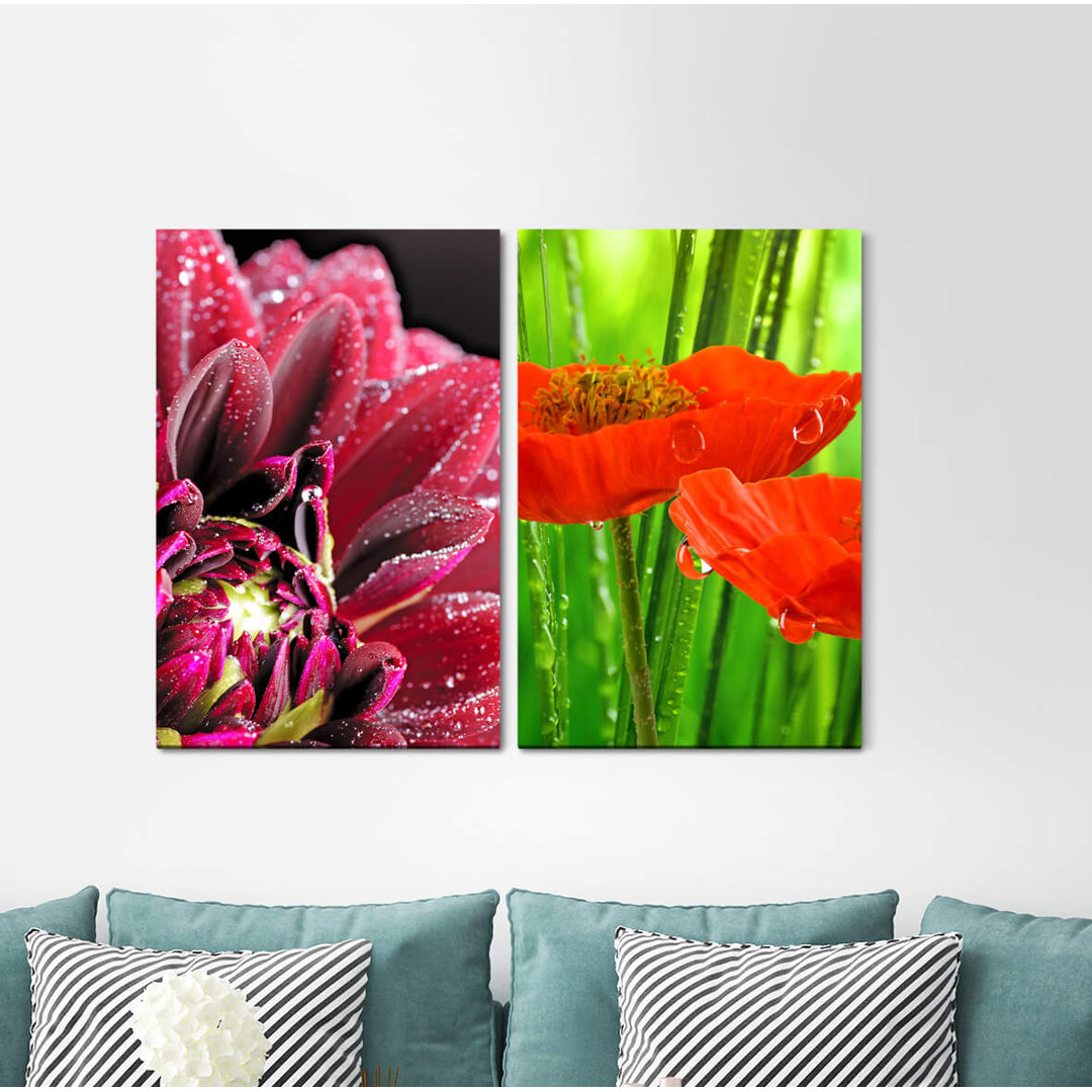 2-tlg. Leinwandbilder-Set - Fotografie „Zinnias Red Flowers Nature Summer Water Drops Harmonious”