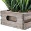 Jerrold 14 cm Artificial Grass in Planter