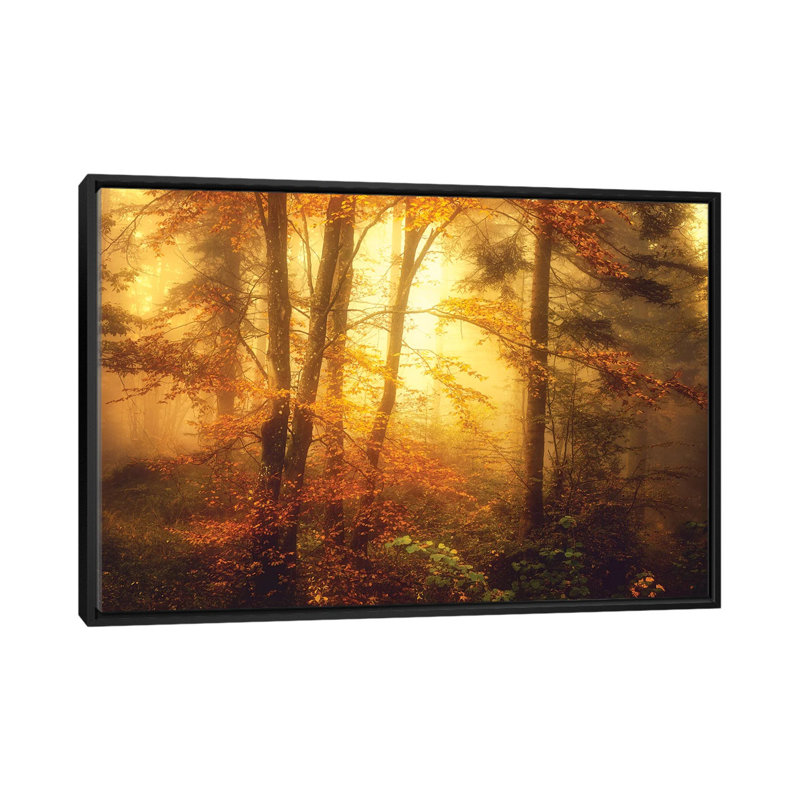Mystic Fog by Philippe Sainte-Laudy - Print on Canvas, Black Framed, 101.6 cm H x 66.04 cm W