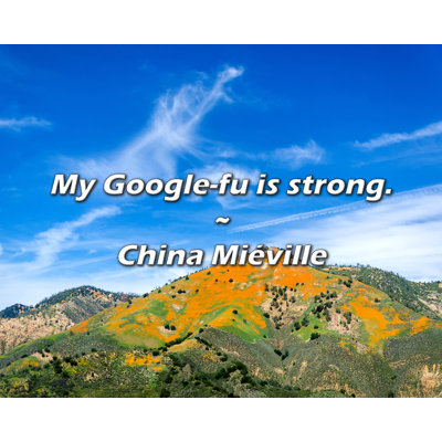 China Miéville Quote: My Google-fu is strong.