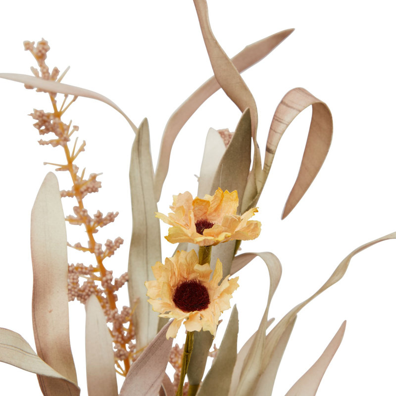 Anastasija Arrangement