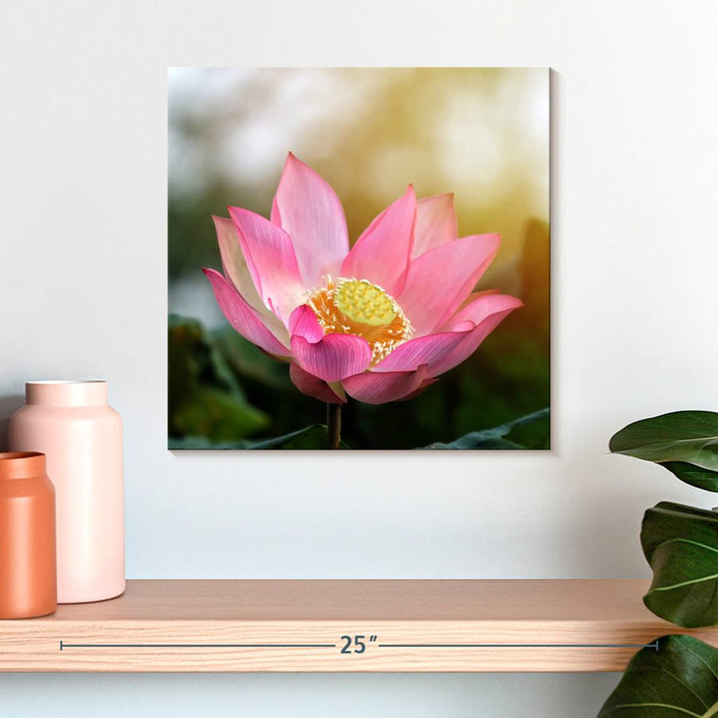 Harnek Lotus au soleil, H 16 po x l 16 po