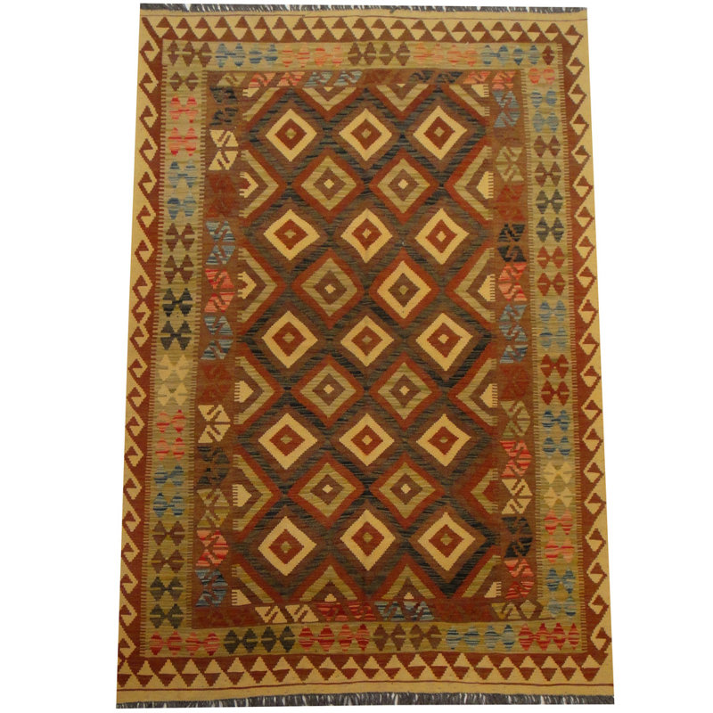 Azpeitia Wool Southwestern Indoor Rug