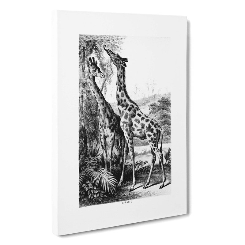 Two Giraffes by John Karst - Wrapped Canvas, 50cm H x 35cm W x 3cm D